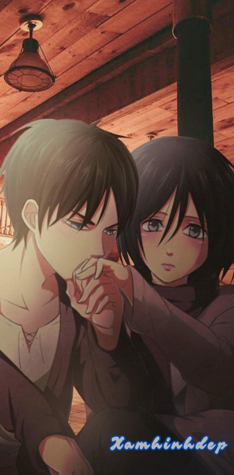 Tải về ảnh mikasa mới