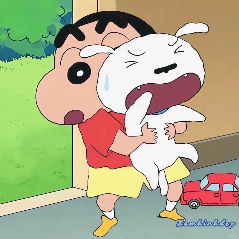 Tải về ảnh shin mới