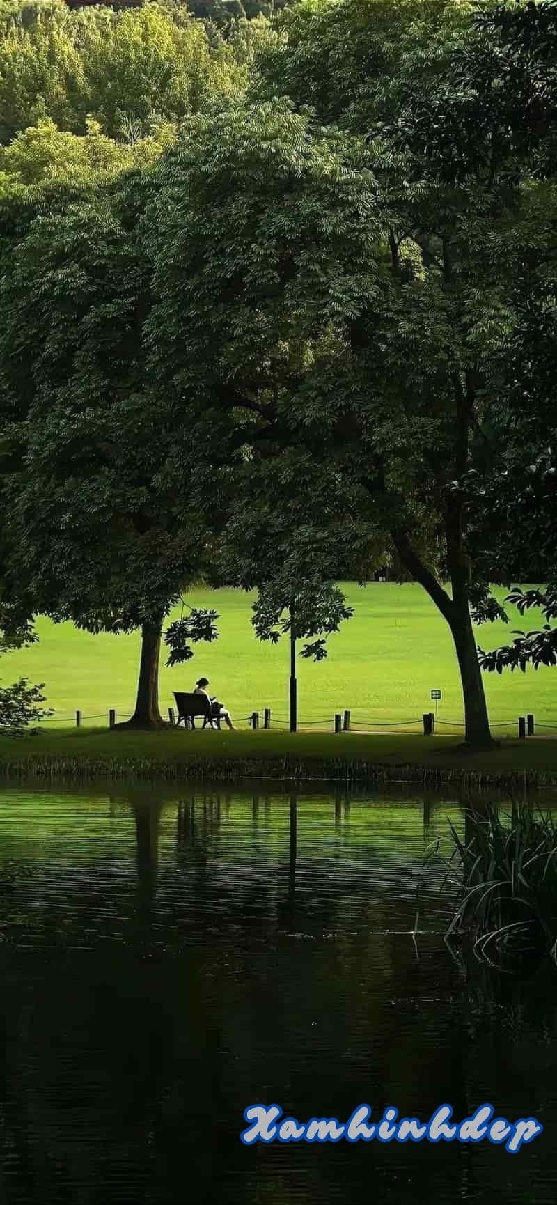 Tải về hình nền chill mới