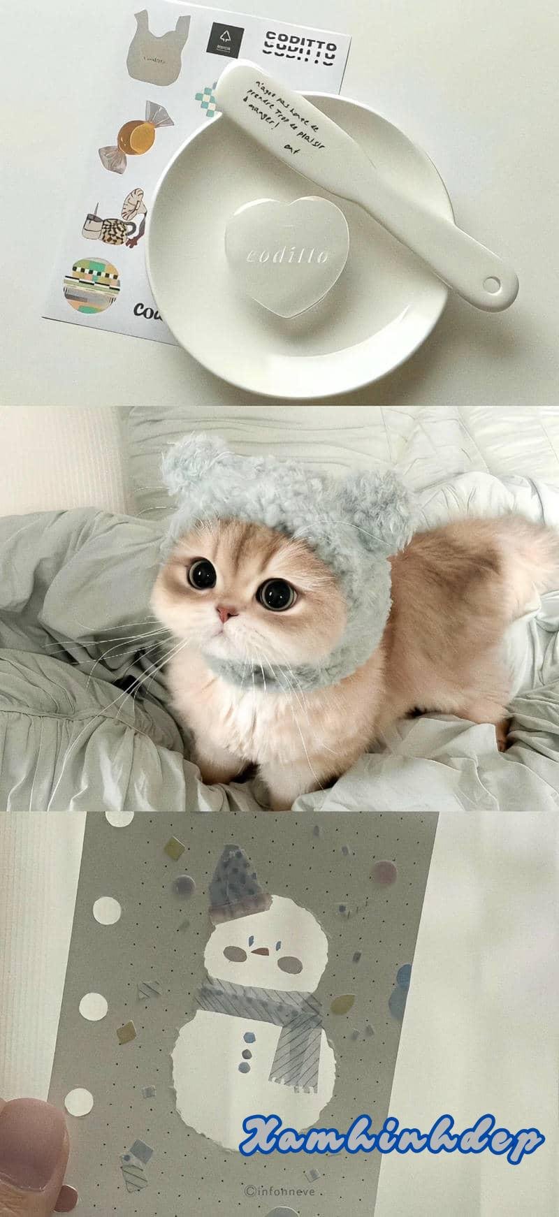 Tải về hình nền đẹp cute mới