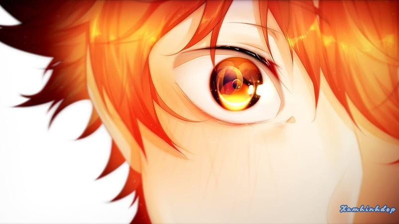 Tổng hợp ảnh hinata shoyo chất lượng nhất