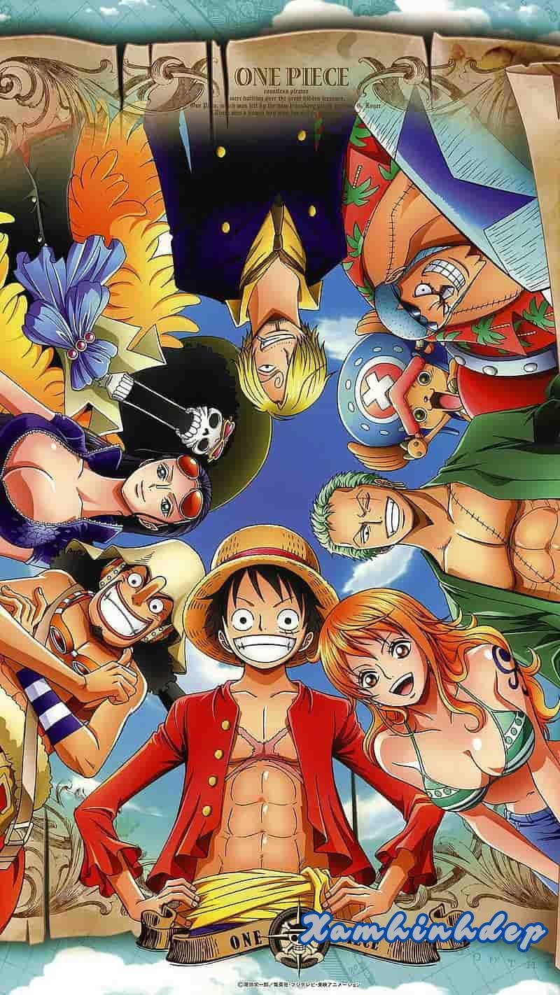 Tổng hợp ảnh luffy hot