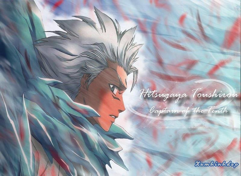 Tổng hợp ảnh toshiro hitsugaya chất lượng nhất