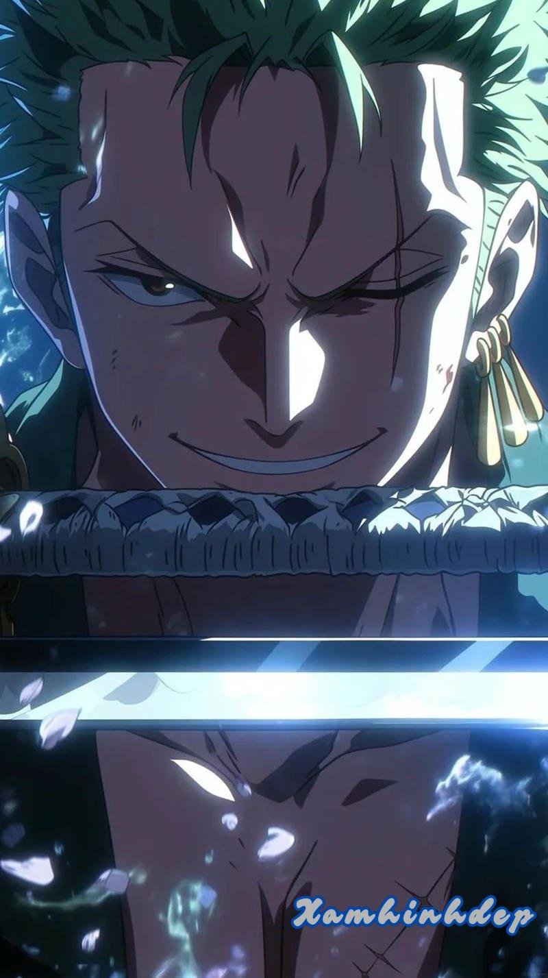 Tổng hợp ảnh zoro chất lượng nhất