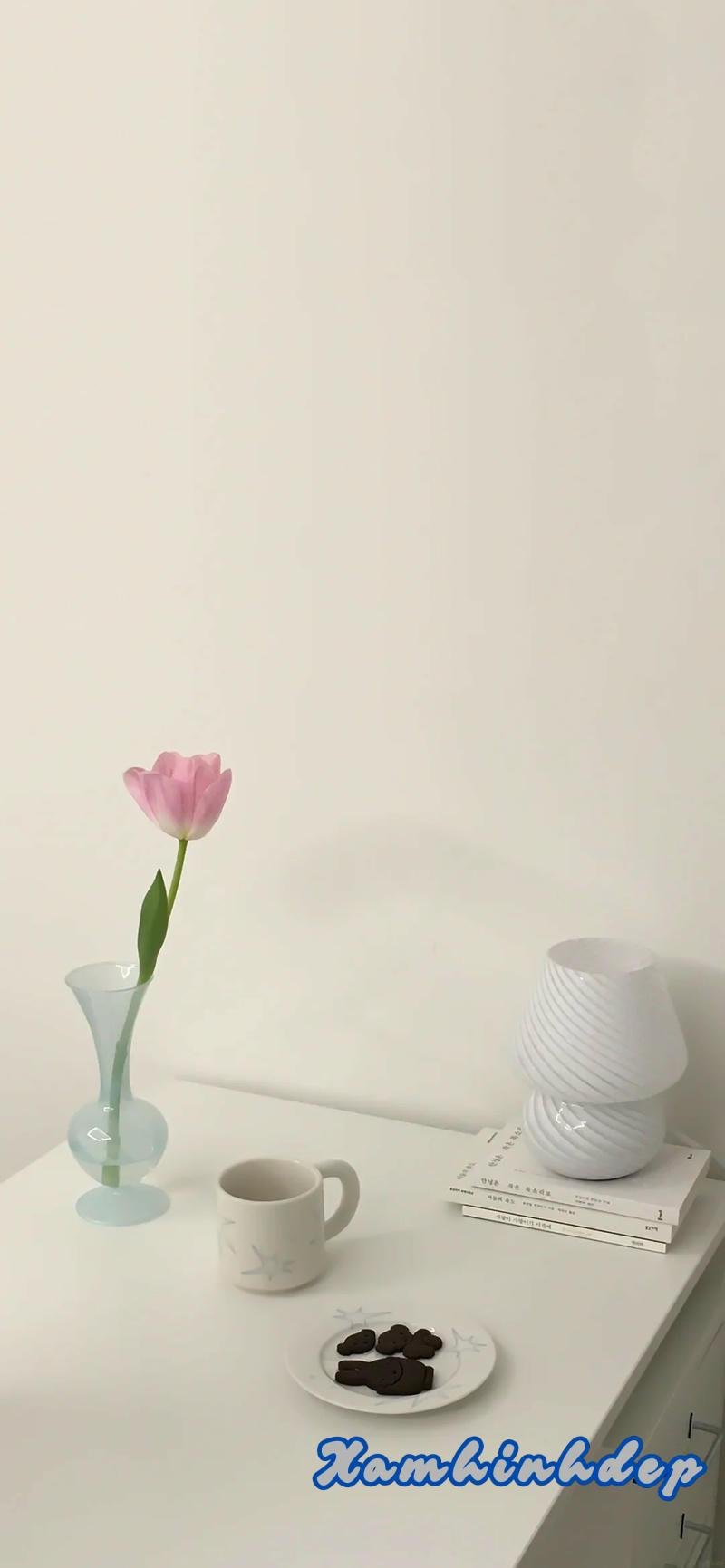 Tổng hợp hình nền đơn giản hot