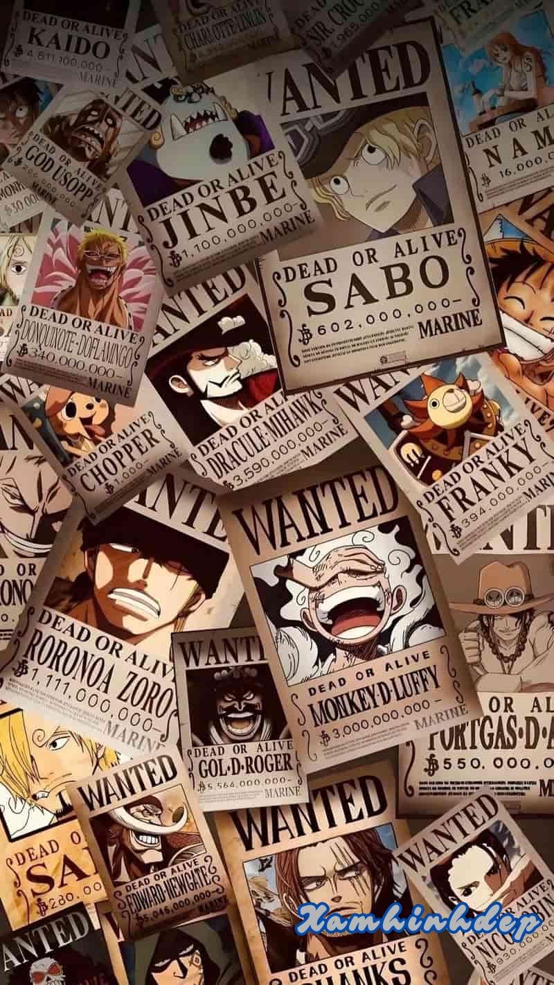 Tổng hợp hình nền one piece hot