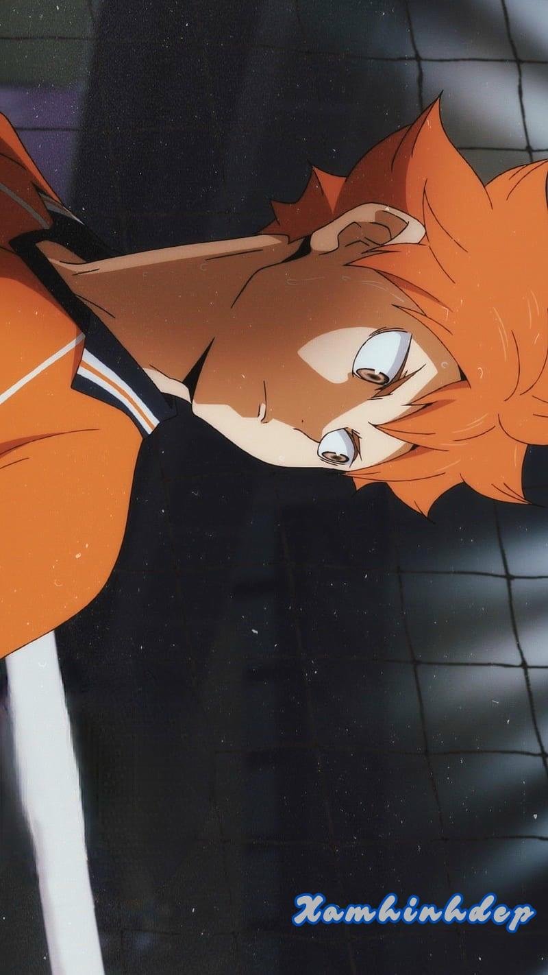 Tuyển chọn ảnh hinata shoyo chất lượng nhất