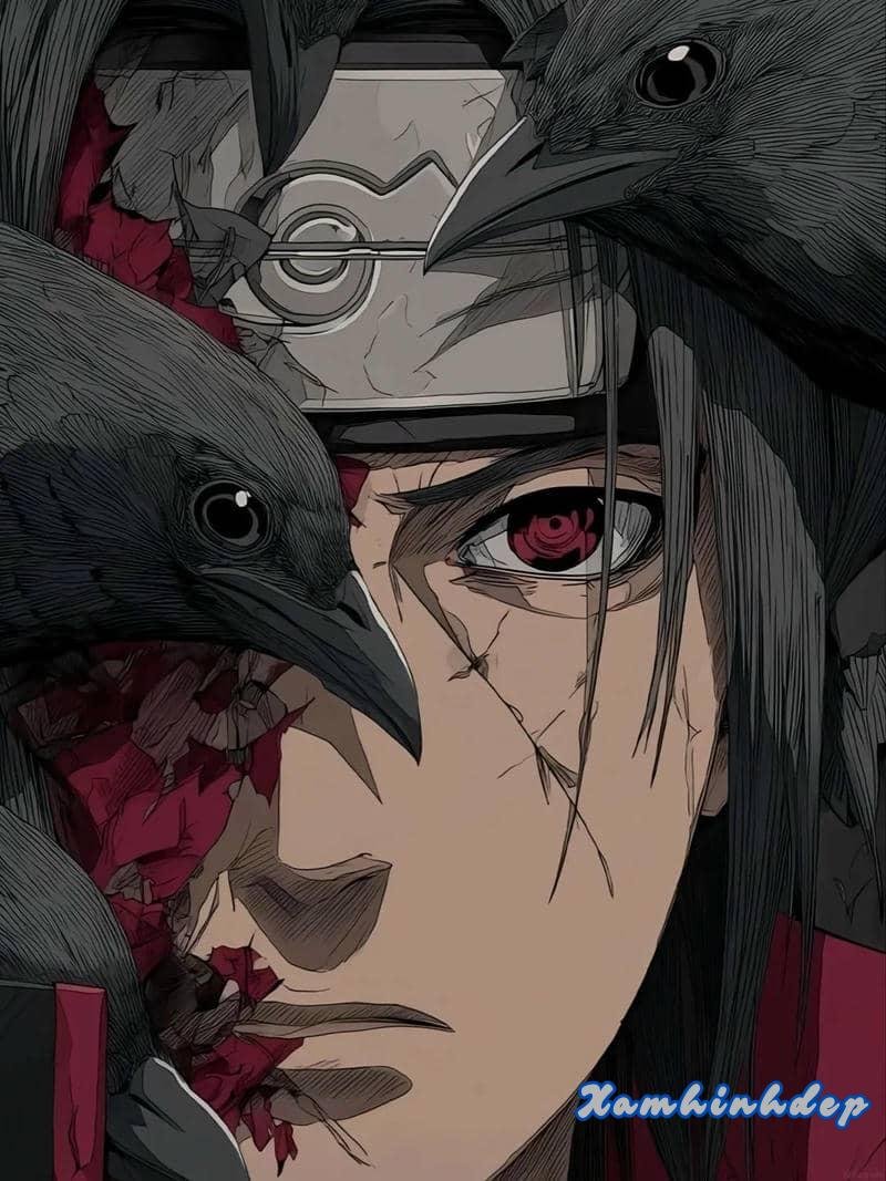 Tuyển chọn ảnh madara chất lượng nhất