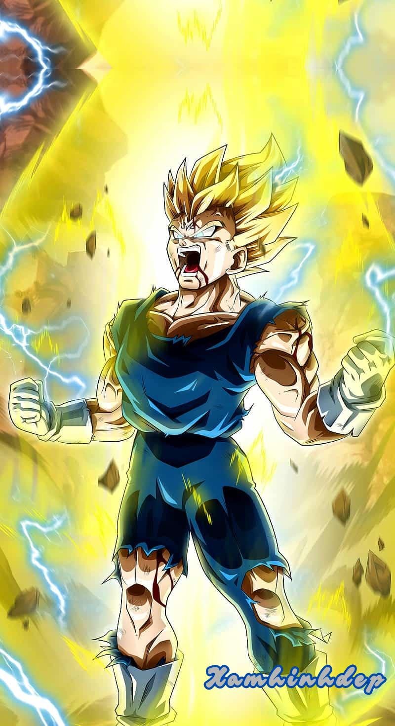 Tuyển chọn ảnh vegeta chất lượng nhất