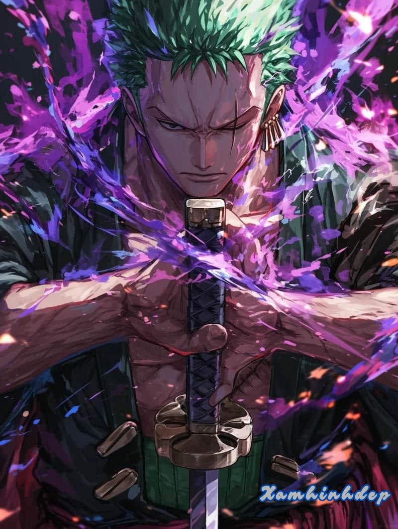 Tuyển chọn ảnh zoro chất lượng nhất
