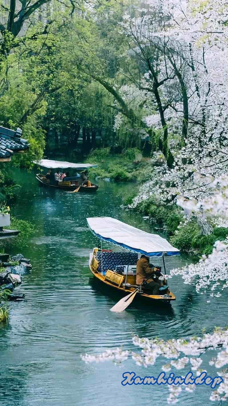 Tuyển chọn hình nền chill chất lượng nhất