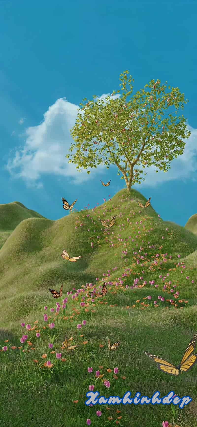 Tuyển chọn hình nền thiên nhiên chất lượng nhất