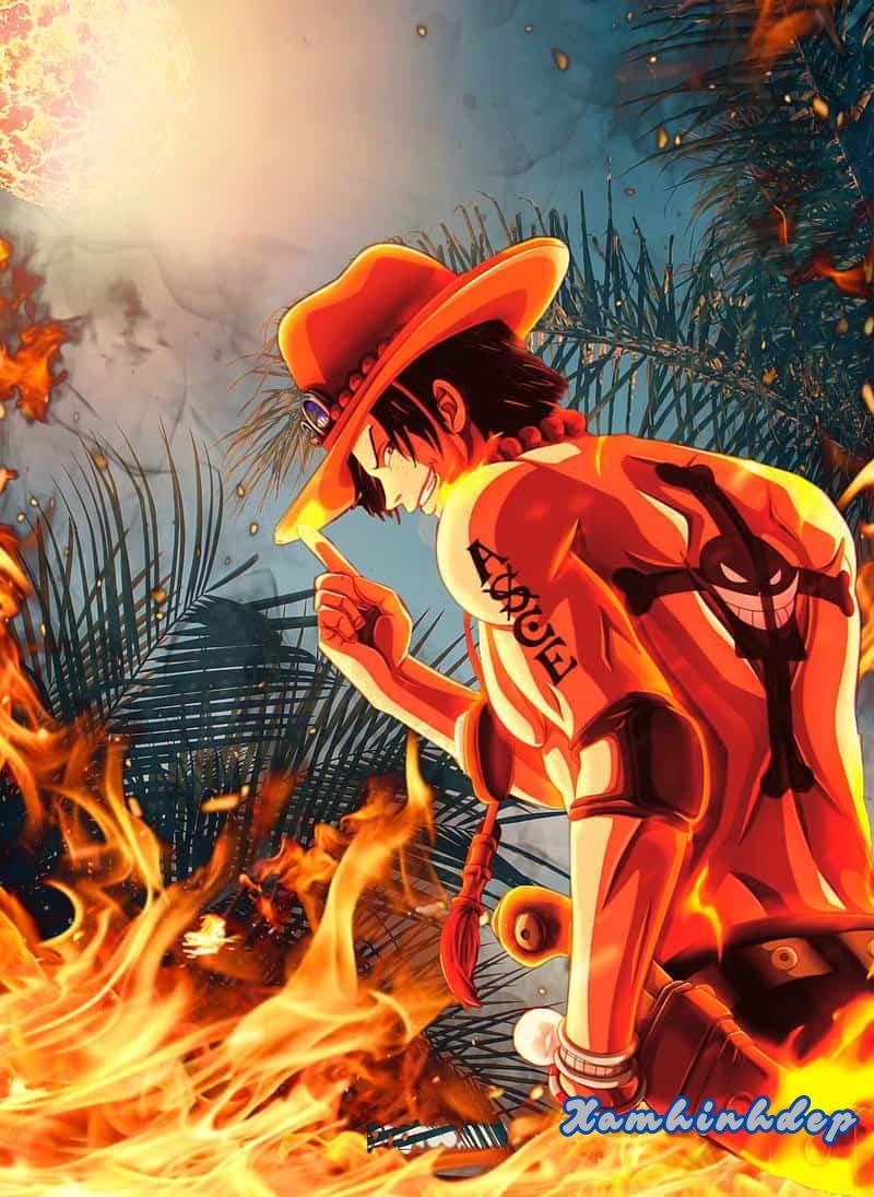 Tuyển tập bộ ảnh ace miễn phí