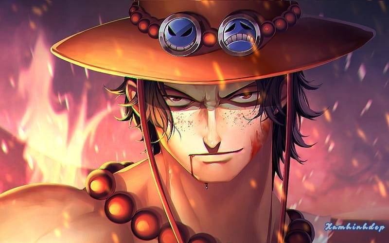 Tuyển tập bộ ảnh ace trend nhất