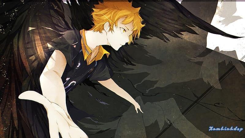 Tuyển tập bộ ảnh hinata shoyo miễn phí