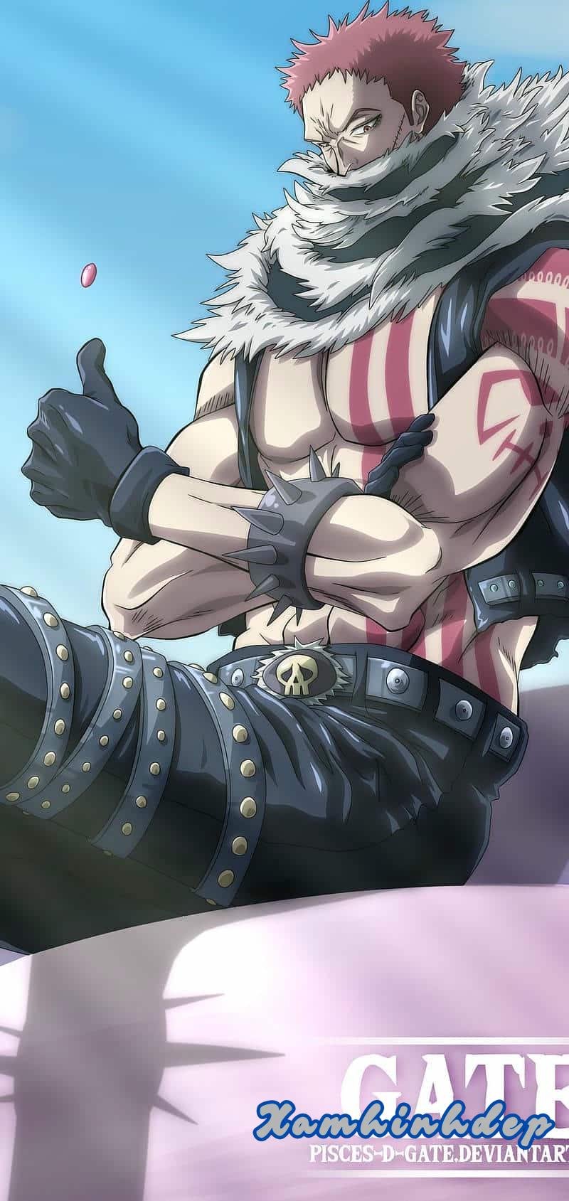 Tuyển tập bộ ảnh katakuri trend nhất