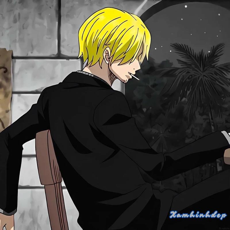 Tuyển tập bộ ảnh sanji trend nhất