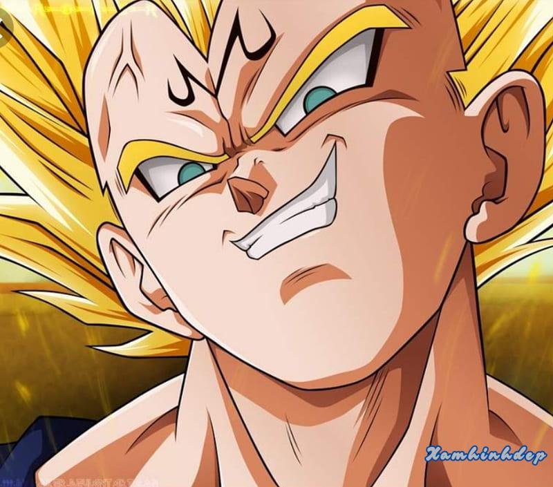 Tuyển tập bộ ảnh vegeta miễn phí