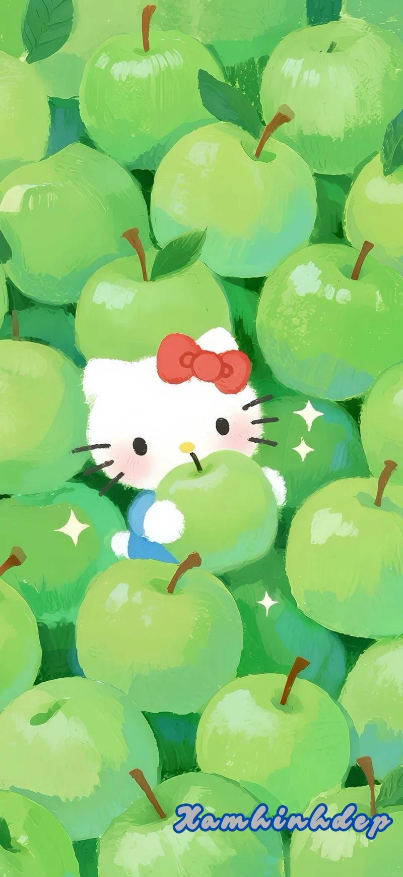 Tuyển tập bộ hình nền hello kitty miễn phí
