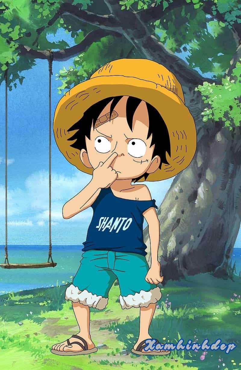 Tuyển tập bộ hình nền luffy trend nhất