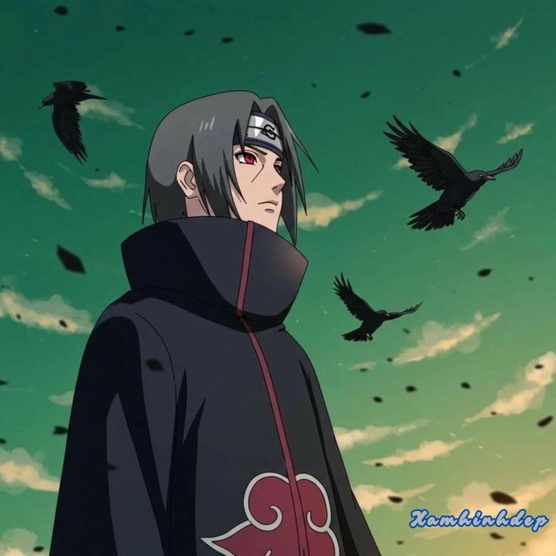 Xem ảnh itachi mới nhất