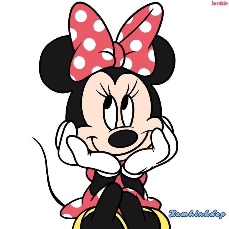 Xem ảnh mikey đẹp nhất