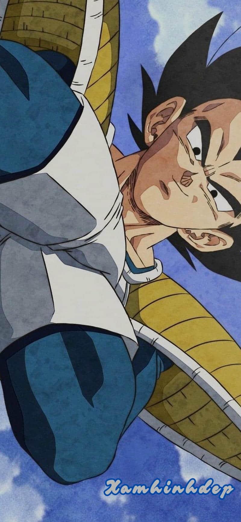 Xem ảnh vegeta đẹp nhất