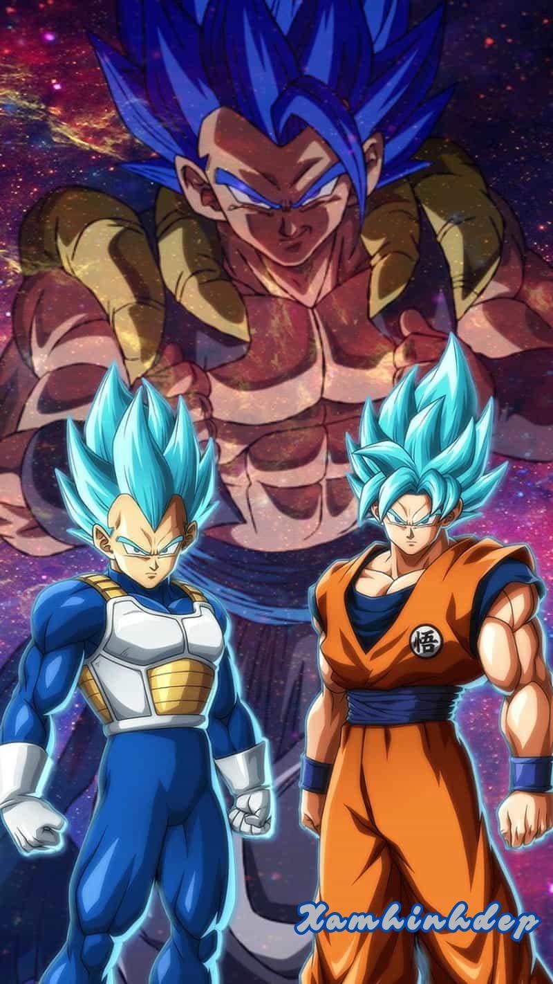 Xem ảnh vegeta đẹp