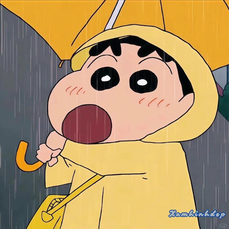 Xem bộ ảnh shin miễn phí