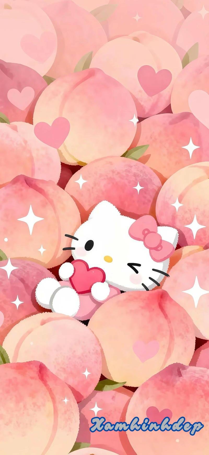 Xem hình nền hello kitty đẹp