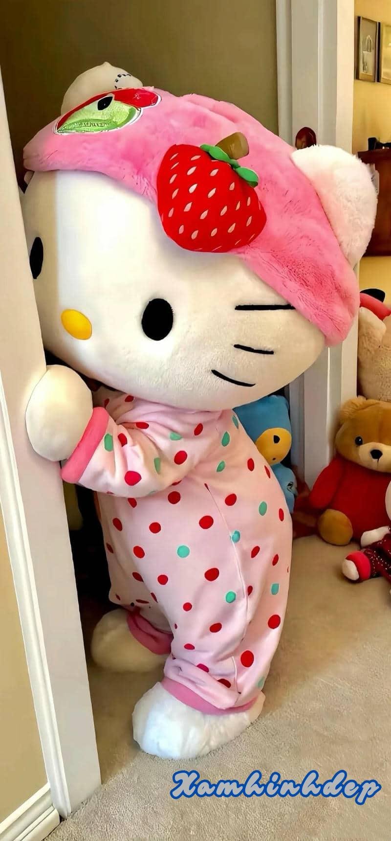 Xem hình nền hello kitty mới nhất