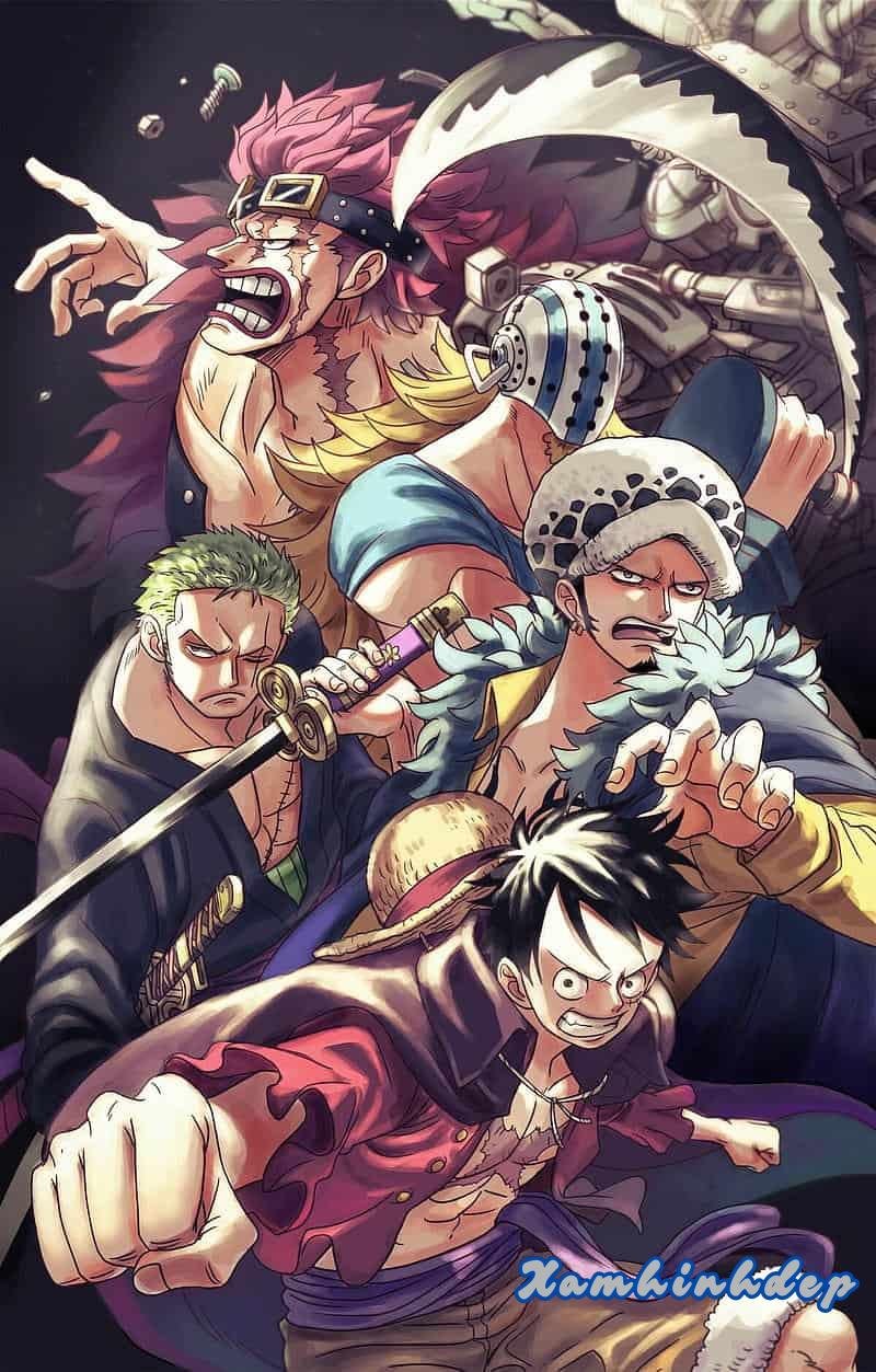 Xem hình nền one piece mới nhất