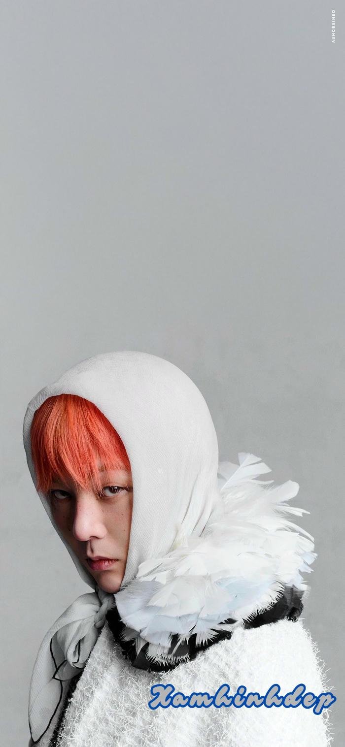 hd ảnh nền gdragon