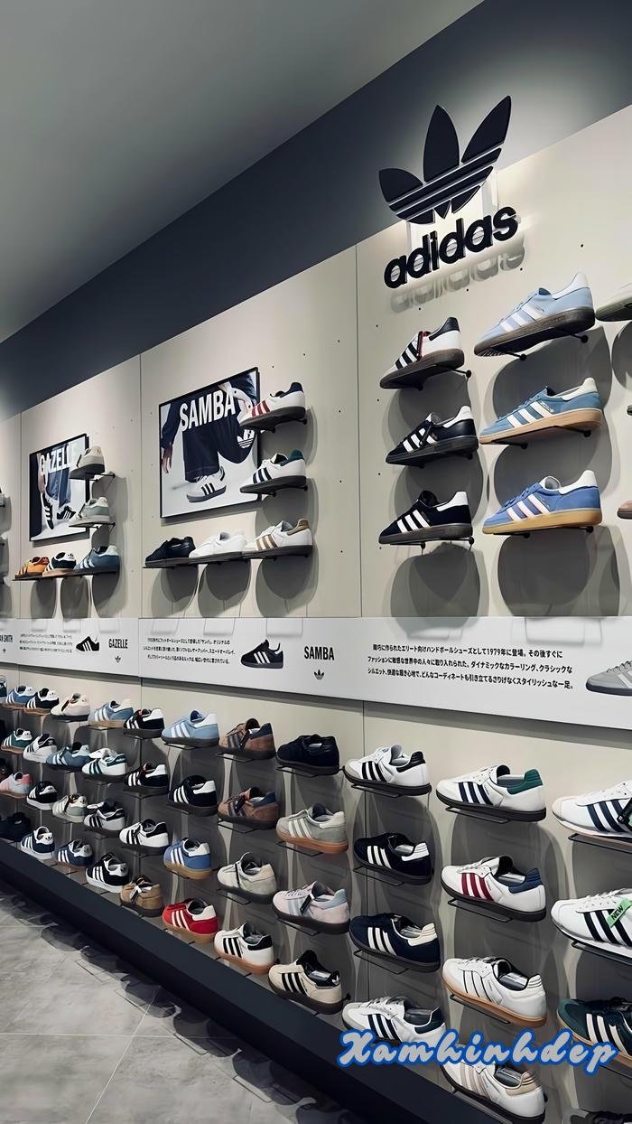 hình nền adidas cực hot