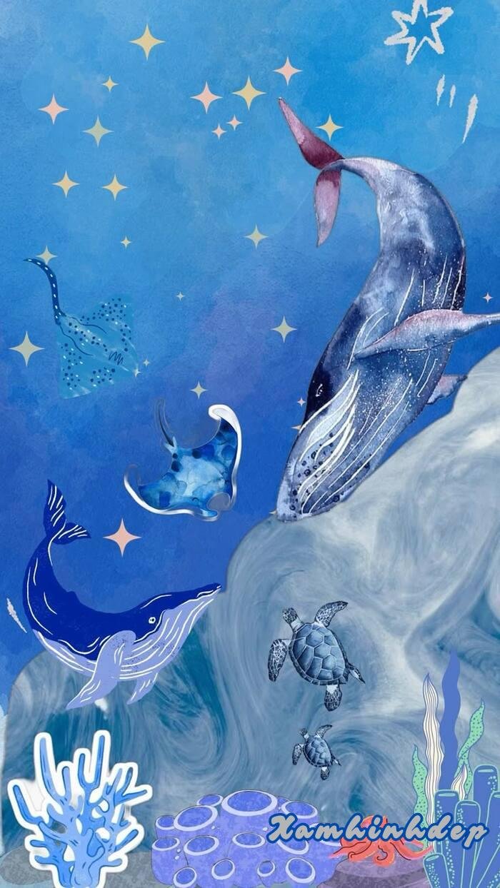 hình nền đại dương