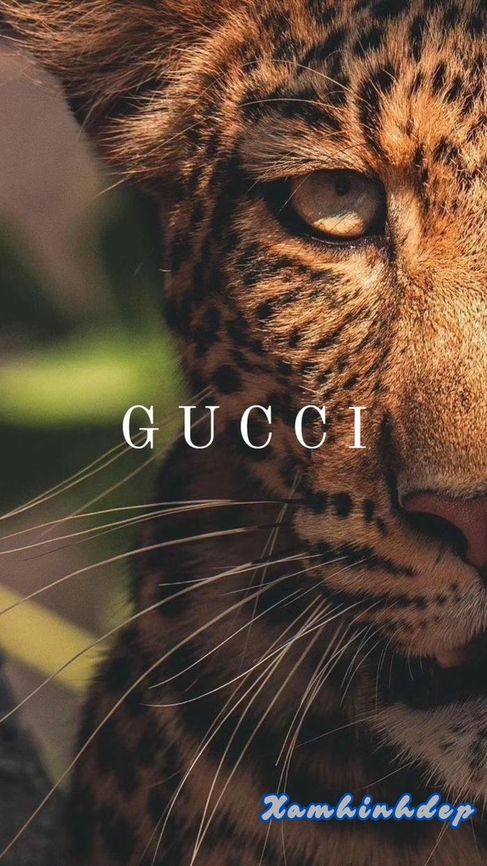 hình nền gucci đẹp hot full hd