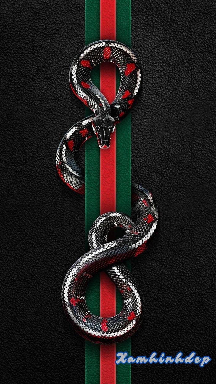 hình nền gucci đẹp sang hot full hd