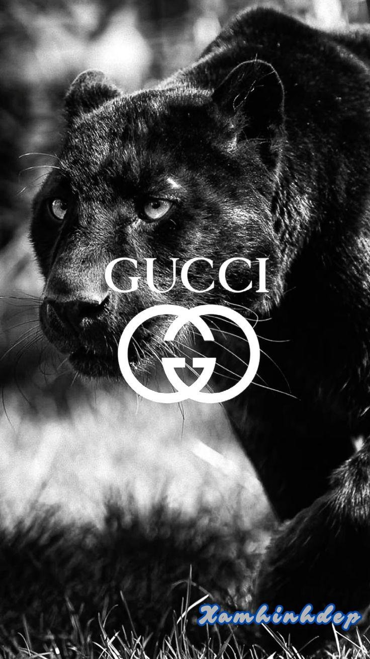 hình nền gucci hd