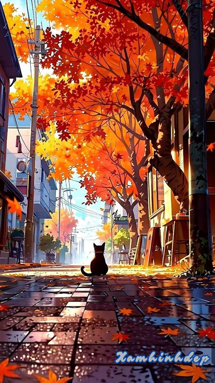 hình nền mệnh thổ đẹp chất
