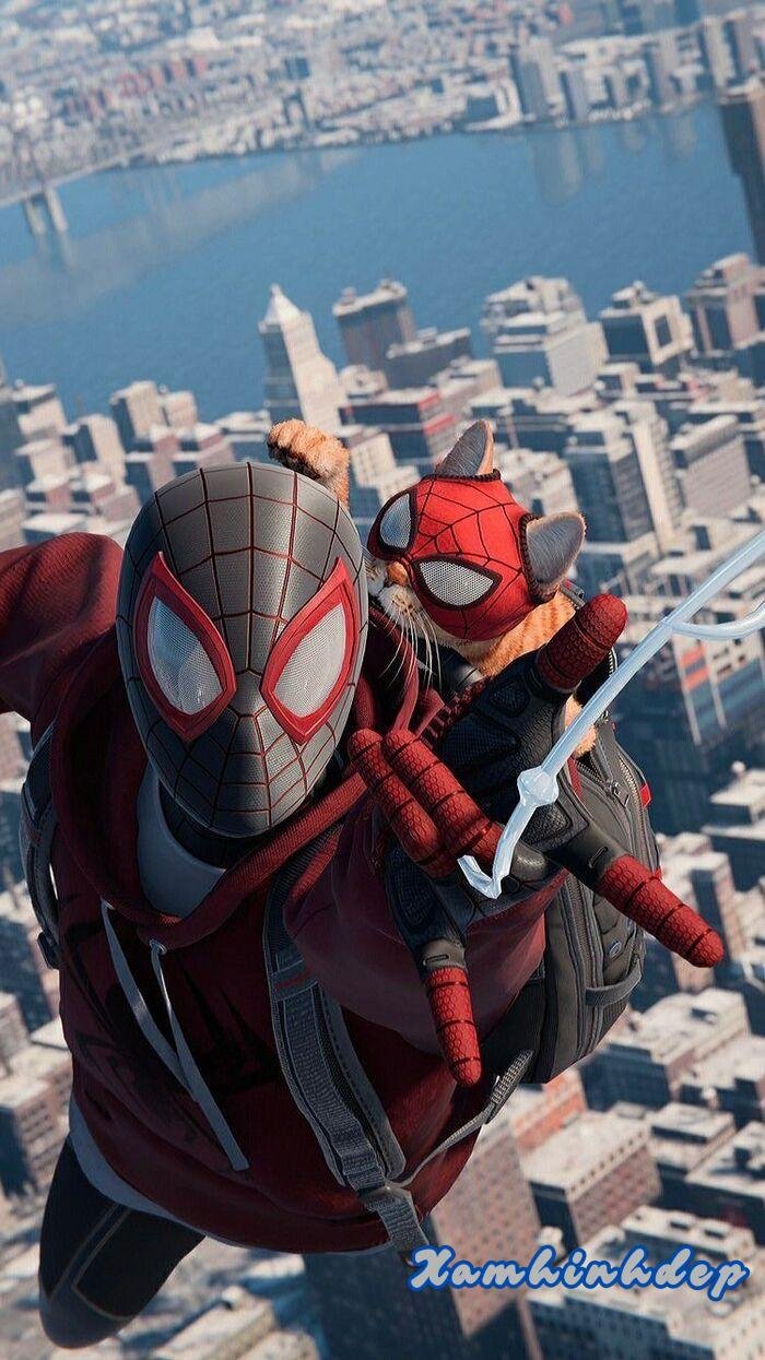 hình nền người nhện ngầu hd
