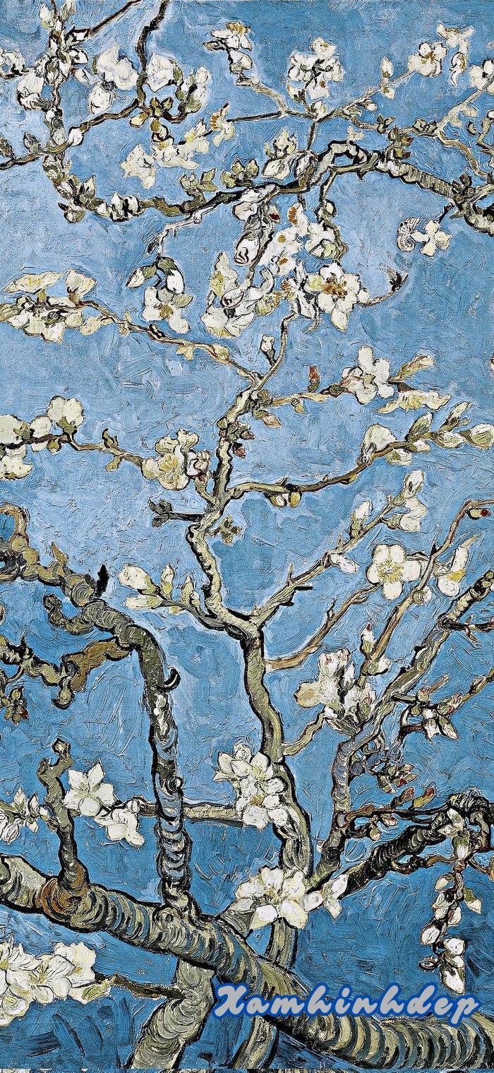 hình nền van gogh nghệ
