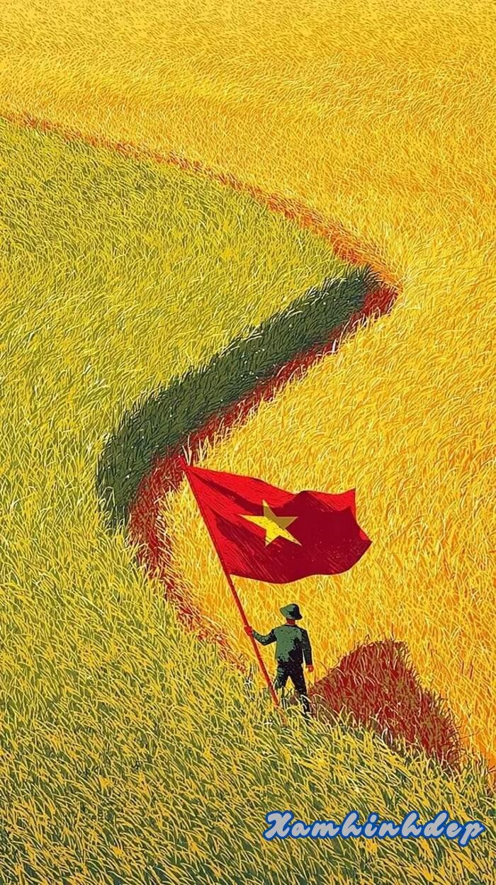 hình nền yêu nước lúa